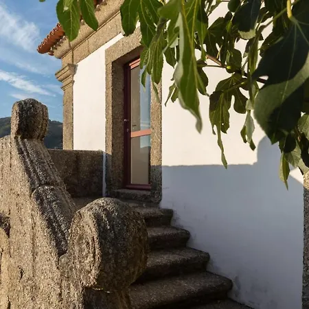 Casa De Vilar By Quantique